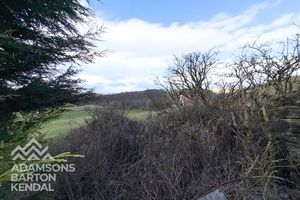 Photo 14- click for photo gallery